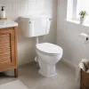The white toilet has a smooth glaze and is easy to clean. It is a classic model for household bathrooms details Picture